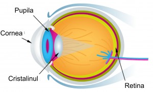 picături pentru ochi pentru îmbunătățirea vederii dezvoltarea preciziei vederii